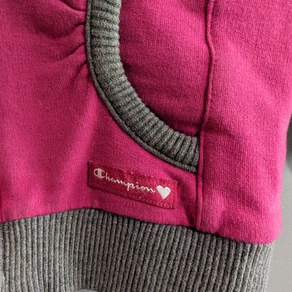 Toddler champion hoodie size 18 months - Picture 4 of 9